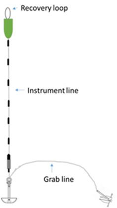 Illustration Logger