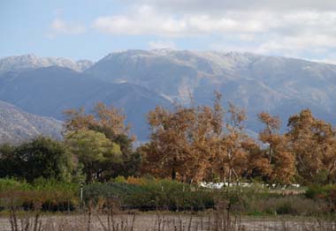 The Pala Reservation