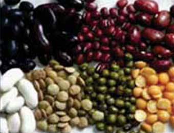 Seeds