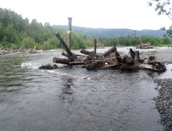 Nooksack River 1