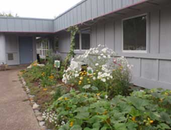 Siletz Garden