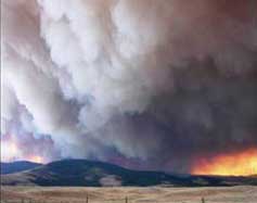 Chippy Creek fire