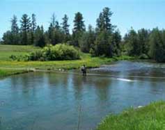 Stream Measurements