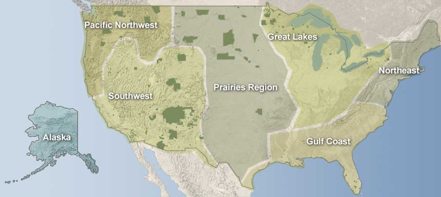 Tribal Profiles Map